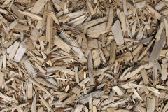 biomass boilers Pitcairngreen